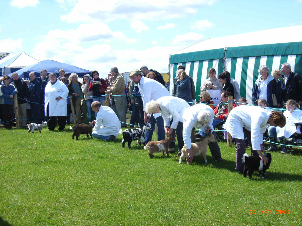 Kid line up.JPG (507338 bytes)