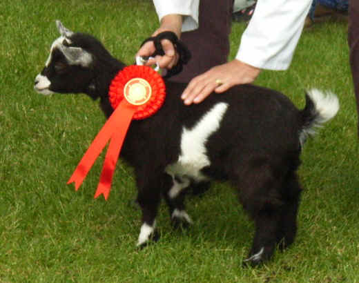 best kid.JPG (108059 bytes)